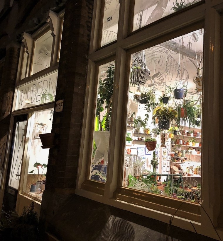 Navigating Amsterdam's Neighbourhoods