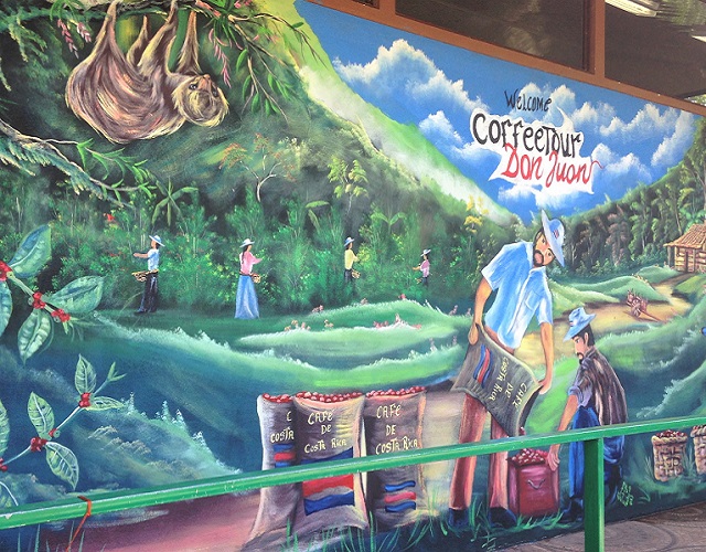 Monteverde coffee tour